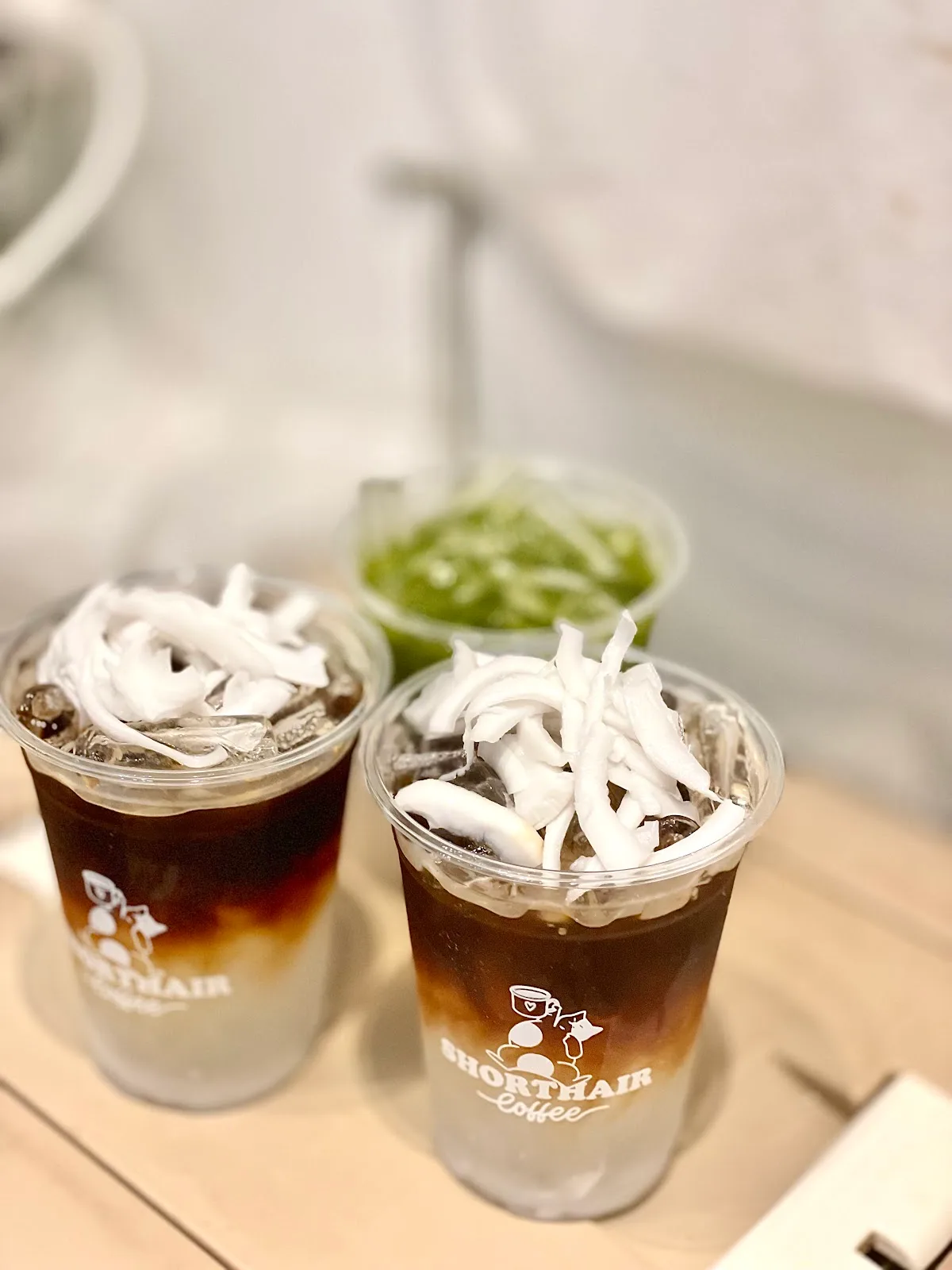 Shorthair Coffee