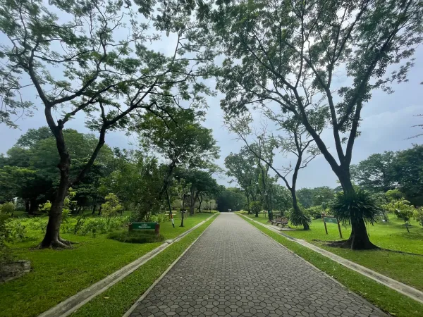 ภาพจริงของ สวนรถไฟ ย่านจตุจักร จาก Google Maps