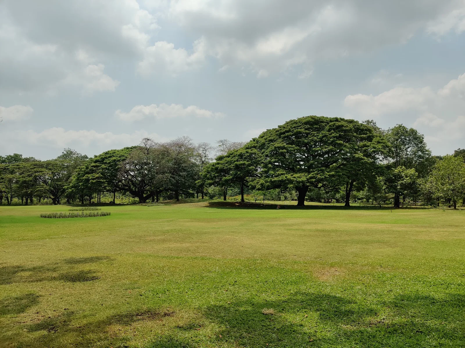 ภาพจริงของ สวนวชิรเบญจทัศ ย่านจตุจักร จาก Google Maps