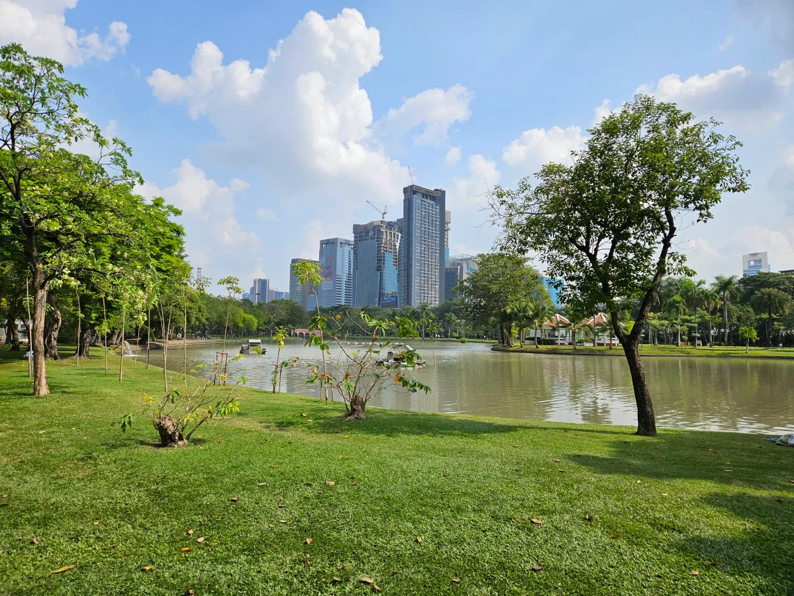 ภาพจริงของ สวนจตุจักร ย่านจตุจักร จาก Google Maps (รูปที่ 5)
