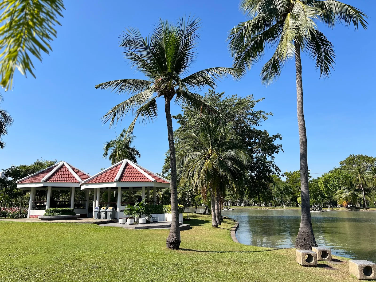 ภาพจริงของ สวนจตุจักร ย่านจตุจักร จาก Google Maps (รูปที่ 6)
