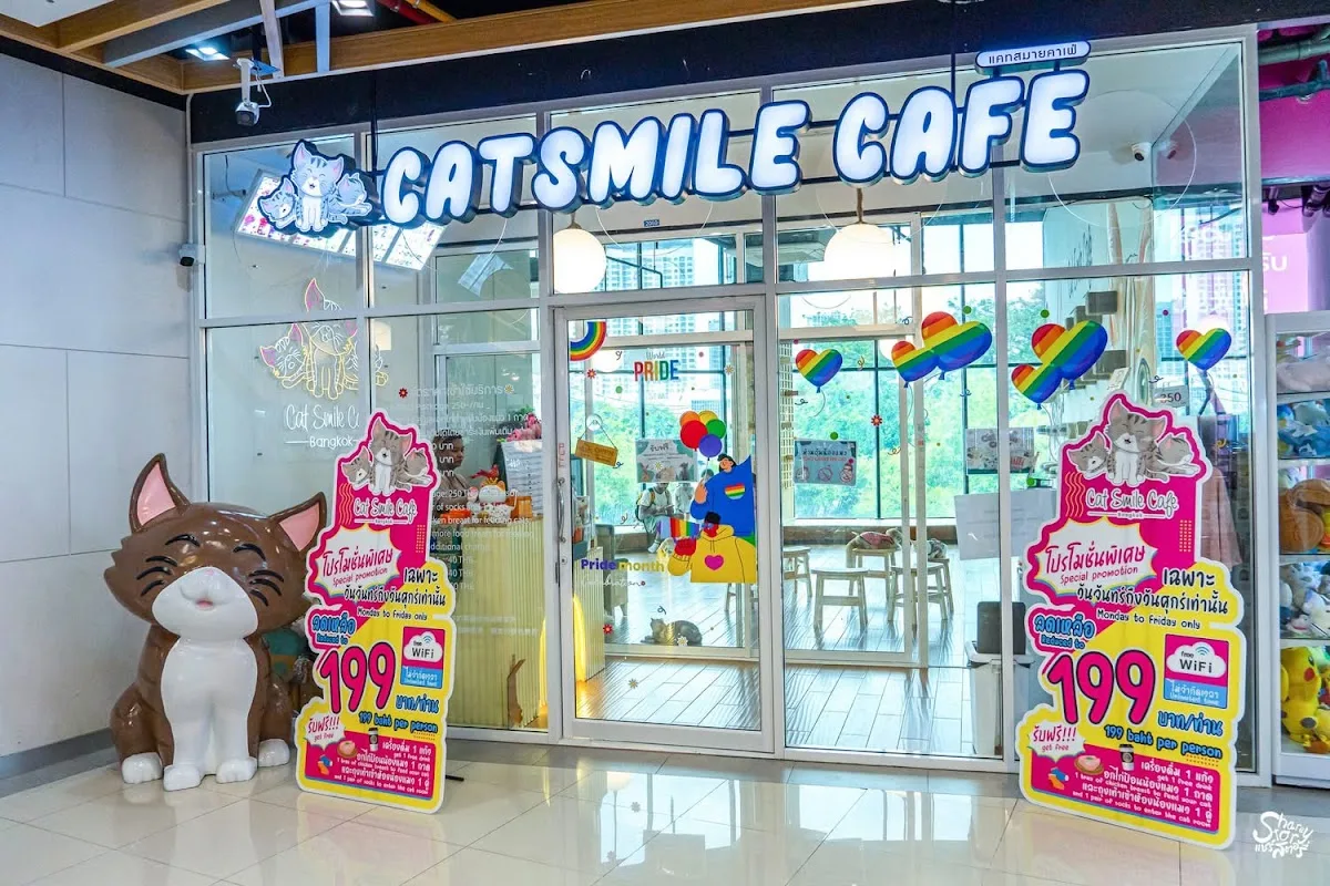 Catsmile Cafe Mixt Chatuchak